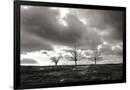 Gramercy Black