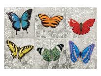 Butterfly Mural-Alan Hopfensperger-Art Print