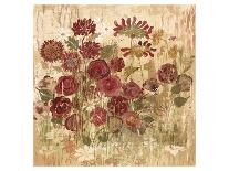 Floral Frenzy Burgundy II-Alan Hopfensperger-Art Print