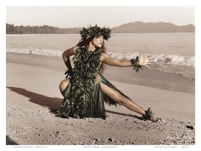 Dance of the Turtle, Hawaiian Hula Dancer