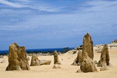 Limestone Pillars in the Pinnacle Desert-Alan J. S. Weaving-Photographic Print