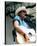 Alan Jackson-null-Stretched Canvas