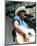 Alan Jackson-null-Mounted Photo