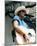 Alan Jackson-null-Mounted Photo