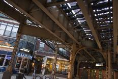 The Tracks of the Blue Line Elevated Train in Wicker Park, Chicago-Alan Klehr-Photographic Print