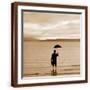 Brown Frame