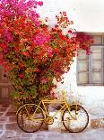 Paros, Greece-Alan Klug-Photographic Print