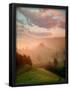 Essential Black