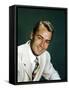 Alan Ladd-null-Framed Stretched Canvas