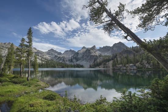 Premium Photographic Print, , large
