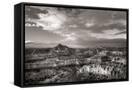 Canvas Black