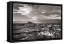 Canvas Black