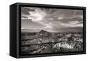 Canvas Black