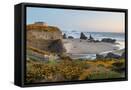 Canvas Black