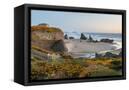 Canvas Black