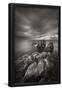 Essential Black