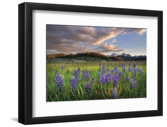 Premium Photographic Print, , large
