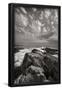 Essential Black