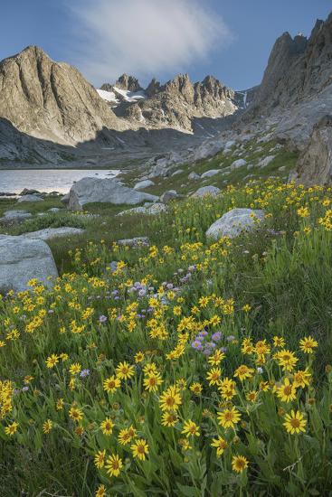 Premium Photographic Print, , large