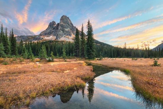 Premium Photographic Print, , large