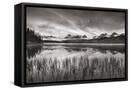 Canvas Black