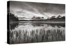 Stretched Canvas