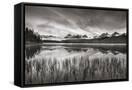Canvas Black