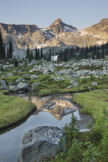 Premium Photographic Print, , large