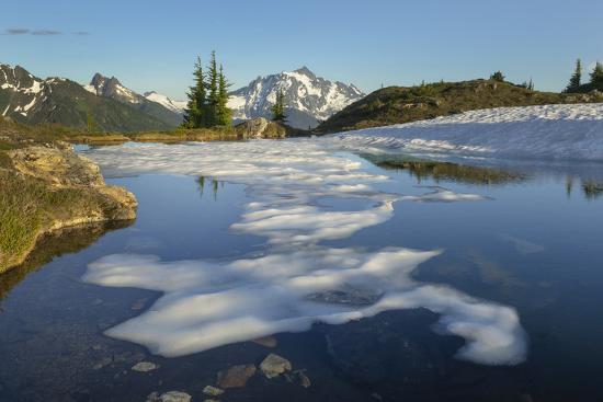 Premium Photographic Print, , large