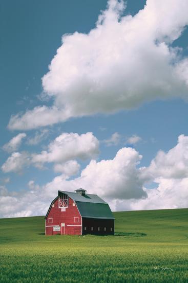 Premium Photographic Print, , large