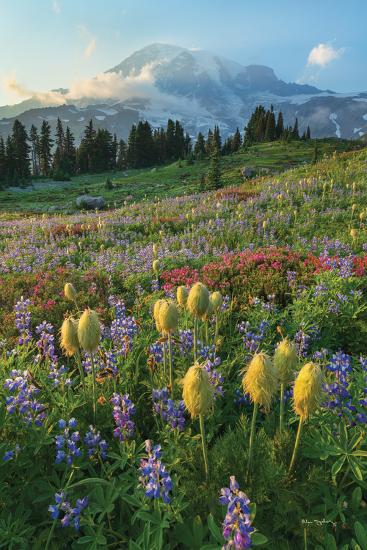 Premium Photographic Print, , large
