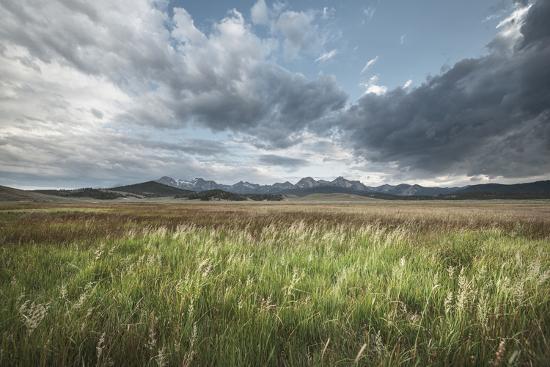Premium Photographic Print, , large