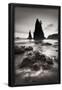 Essential Black