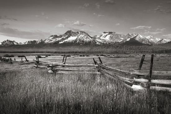 Photographic Print, , large