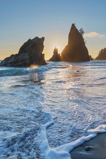 Premium Photographic Print, , large