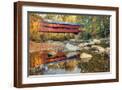 Brown Frame
