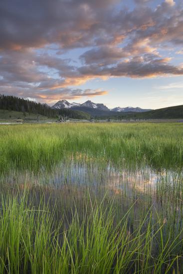 Premium Photographic Print, , large