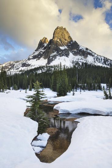 Premium Photographic Print, , large