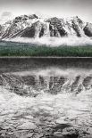 Skagit Valley Daffodils I-Alan Majchrowicz-Art Print