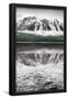 Essential Black