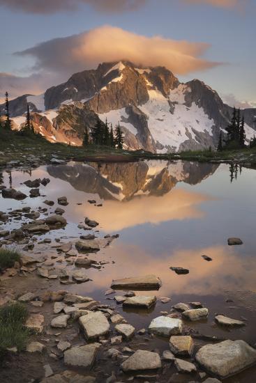 Premium Photographic Print, , large