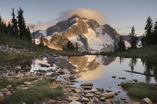 Premium Photographic Print, , large