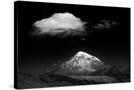 Stretched Canvas