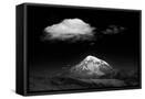 Framed Canvas