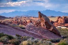 Fire Wave at sunset, Valley of Fire State Park, Nevada, United States of America, North America-Alan Novelli-Photographic Print