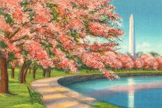 Washington Dc-Alan Paul-Art Print