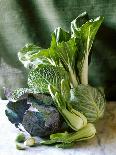 Still Life with Various Sorts of Cabbage-Alan Richardson-Framed Photographic Print