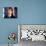 Alan Rickman - Die Hard-null-Photo displayed on a wall