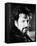 Alan Rickman - Robin Hood: Prince of Thieves-null-Framed Stretched Canvas