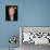 Alan Rickman-null-Photo displayed on a wall